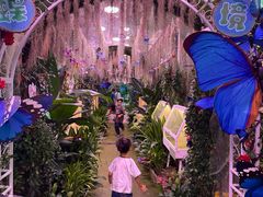 -正佳雨林生态植物园