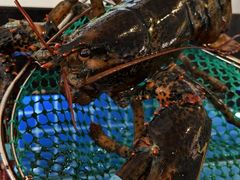 -碧海银沙海鲜餐厅(恒大海上威尼斯店)