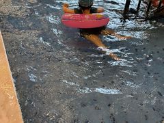 -地中海传奇水汇