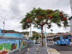 -梧桐山风景名胜区