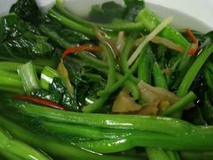 -鸽王世家(东华东路店)