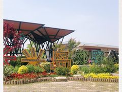 -上海长兴岛郊野公园