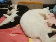 -1点点(国美店)