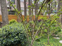 -上海市中医文献馆