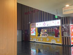 -华谊兄弟影院(IMAX洋桥店)
