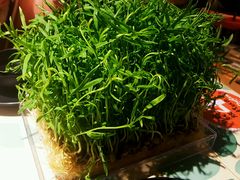 -南城十里潮汕鲜牛火锅·鲜虾生滚粥(融汇老商埠店)