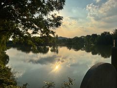 -微山岛春天里酒家