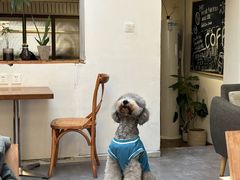 -沏点Trattoria意大利餐厅(新街口店)