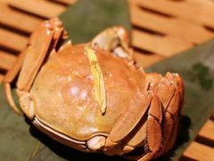 -成隆行·蟹王府(九江路店)