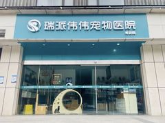 -伟伟宠物医院·瑞派猫友好医院·猫科(光谷店)