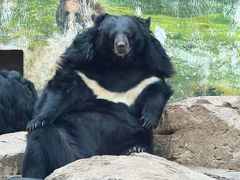 -鄂尔多斯野生动物园