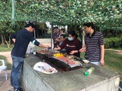 -上海长兴岛郊野公园