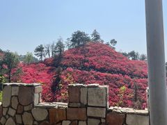 -木兰云雾山