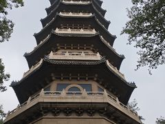 -灵谷景区