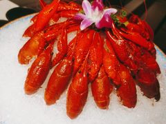 极品冰镇小龙虾-京韵胡同·酱香羊蝎子火锅涮肉(长寿路店)