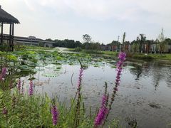 -上海怡沁园度假酒店
