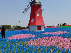 -歌斐颂巧克力小镇