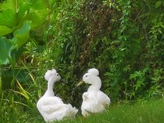 -南通奥特莱斯购物广场