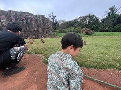 -海南热带野生动植物园