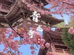 -西安青龙寺遗址景区