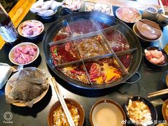 -肥龙火锅(南坪店)