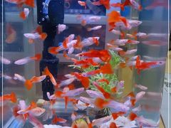 -丽达购物中心(崂山店)