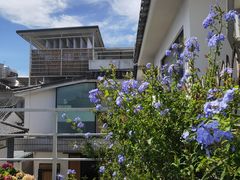 -唐咖精品咖啡(大理古城手冲店)