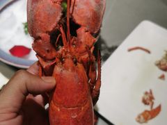 -神洲四海大酒楼(王府井澳门中心店)