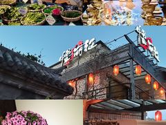 -慢丽江·云南野生菌土鸡锅(付家庄店)