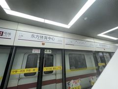 -东方体育中心(地铁站)