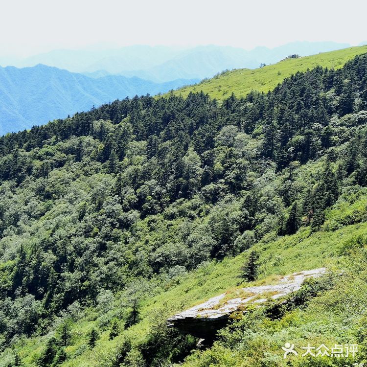 秦岭七十二峪｜分水岭高山草甸