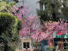 -龙湖重庆时代天街