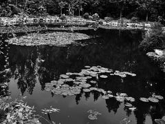 -和平公园