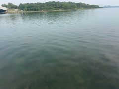 -河南省体育场馆中心游泳馆