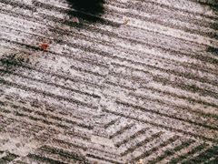 -新加坡Zam Zam餐馆