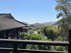 -大唐贡茶院