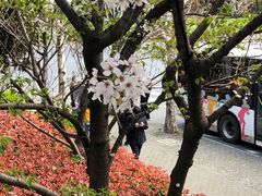 -上海南浦大桥长途旅游客运站