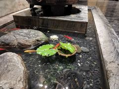 -南堂館川菜文化餐厅(天府店)