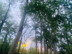 -元大都城垣遗址公园