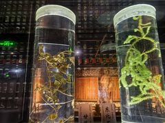 -广东中医药博物馆