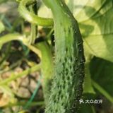 快来体验一下田园风光，只需65元。