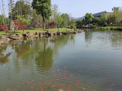 -兰亭风景区