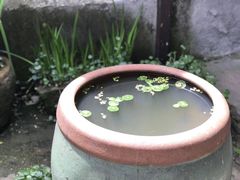 -院子餐厅·大锅菜·老杭帮(桥西直街店)