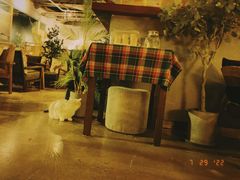 -咖法森林·咖啡  酒吧(天河店)