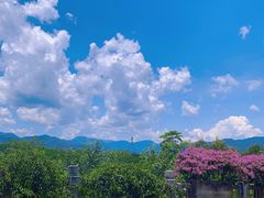 -中国科学院西双版纳热带植物园