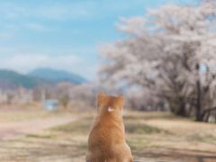 -哈根达斯(皇城恒隆广场店)