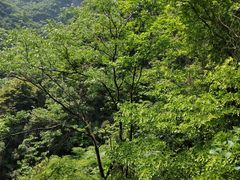 -宁波五龙潭景区