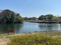 -新江湾城公园