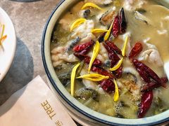 大树酸菜鱼-大树餐厅(红旗街万达店)