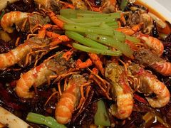 -红盔甲·小龙虾(天钥桥店)